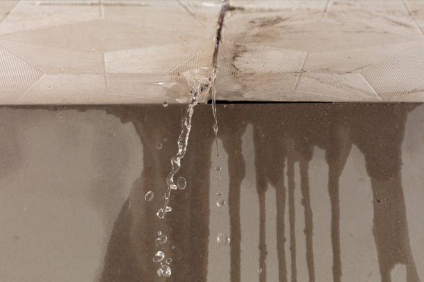 Professional Sewage Cleanup technician working in Tarpley, TX